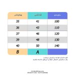 شومیز مجلسی دخترانه طرح شاه دخت - تصویر 2