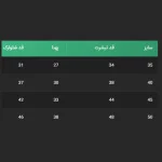 ست تیشرت شلوارک دخترانه مدل گل برجسته مشکی سایز 35,40,45,50 - تصویر 7